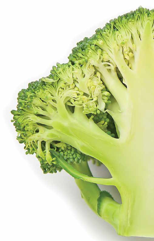 starvital antioksidanti